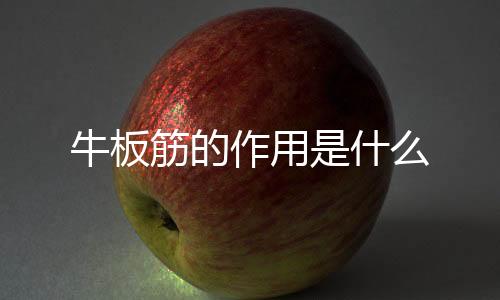 牛板筋的作用是什么