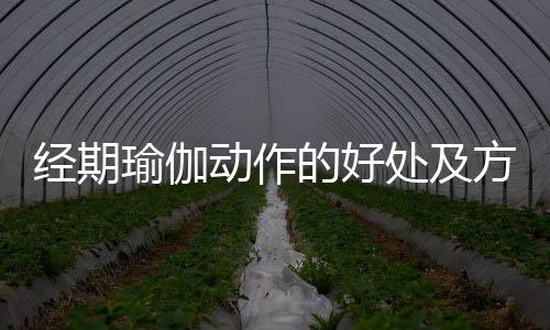 经期瑜伽动作的好处及方法