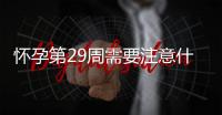 怀孕第29周需要注意什么