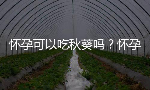 怀孕可以吃秋葵吗？怀孕吃什么比较好