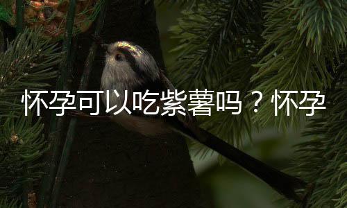 怀孕可以吃紫薯吗？怀孕吃什么比较好