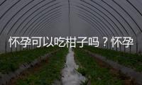 怀孕可以吃柑子吗？怀孕吃什么比较好