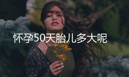 怀孕50天胎儿多大呢