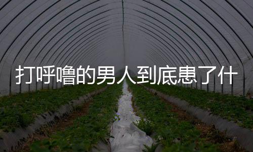 打呼噜的男人到底患了什么病