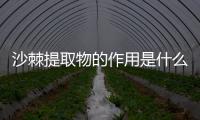 沙棘提取物的作用是什么？