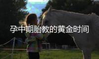 孕中期胎教的黄金时间