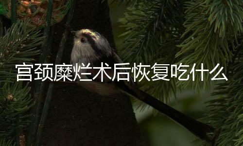 宫颈糜烂术后恢复吃什么好呢