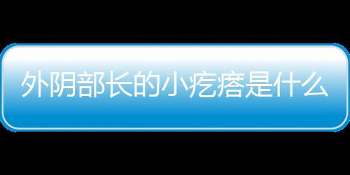 外阴部长的小疙瘩是什么