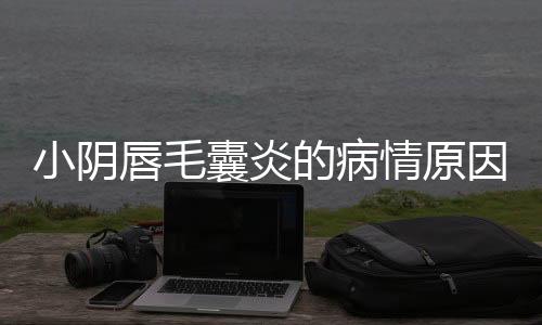 小阴唇毛囊炎的病情原因