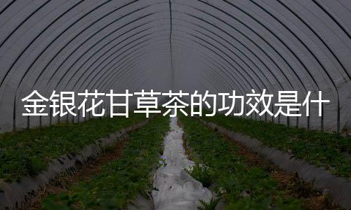 金银花甘草茶的功效是什么？