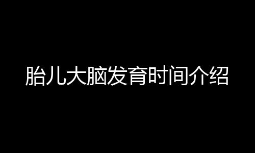 胎儿大脑发育时间介绍