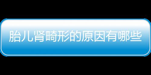 胎儿肾畸形的原因有哪些？