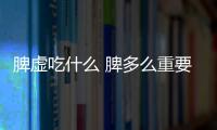 脾虚吃什么 脾多么重要你知道吗