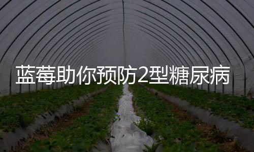 蓝莓助你预防2型糖尿病