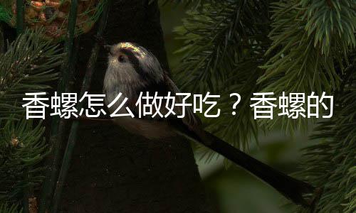 香螺怎么做好吃？香螺的简介